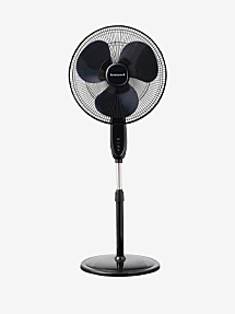 Fans